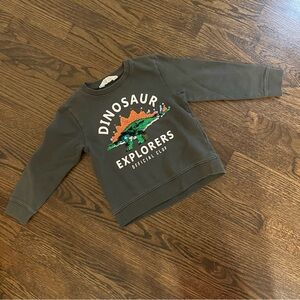 H&M Sz 4-6Y Kids Dinosaur Explorers Sweatshirt with reversible sequins
